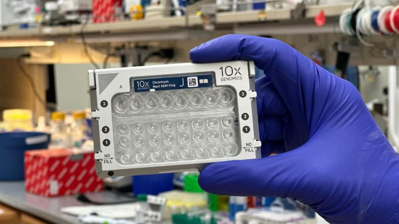 A gloved hand holding a light in a laboratory